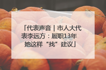 代表声音｜市人大代表李远方：履职13年 她这样“找”建议